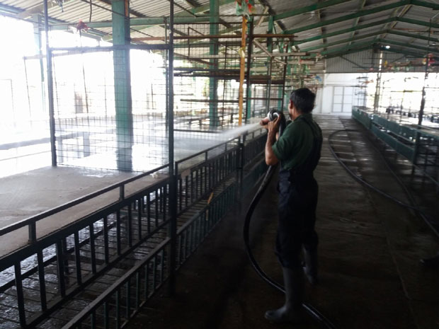 Нови Сад: Пролећно чишћење пијаца